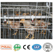 Full Set Equipment Chicken Cages/Chicken Coop